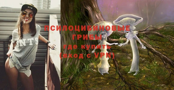 хмурый Дмитровск