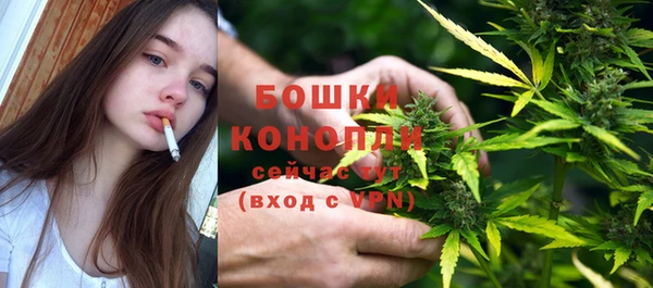 ГАЛЛЮЦИНОГЕННЫЕ ГРИБЫ Дмитров