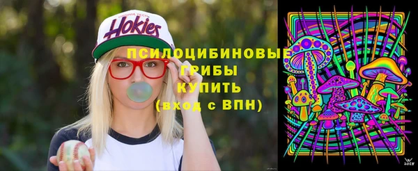 ГАЛЛЮЦИНОГЕННЫЕ ГРИБЫ Дмитров