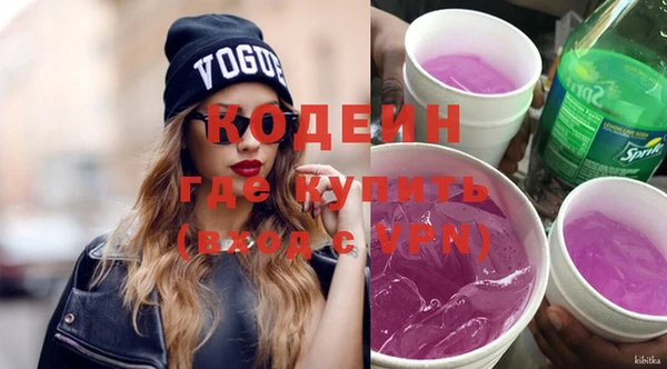 хмурый Дмитровск