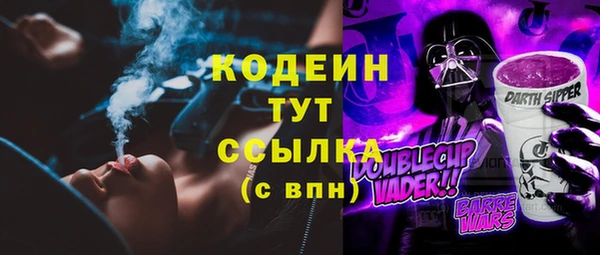 хмурый Дмитровск